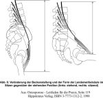 Osteoporose - Leitfaden fr die Praxis